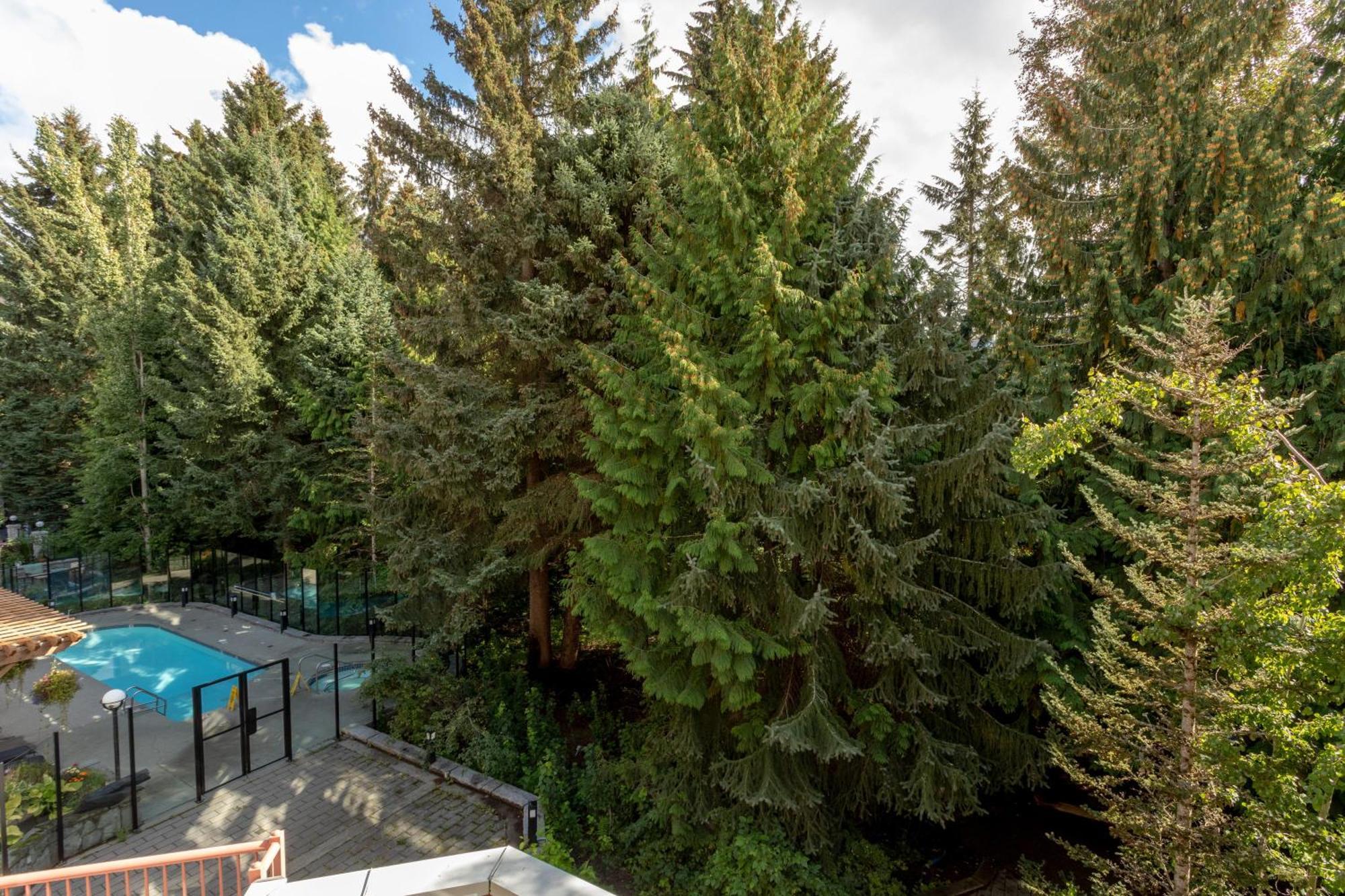 Alpenglow Lodge Bear Wonder One Bedroom By Mva Whistler Esterno foto